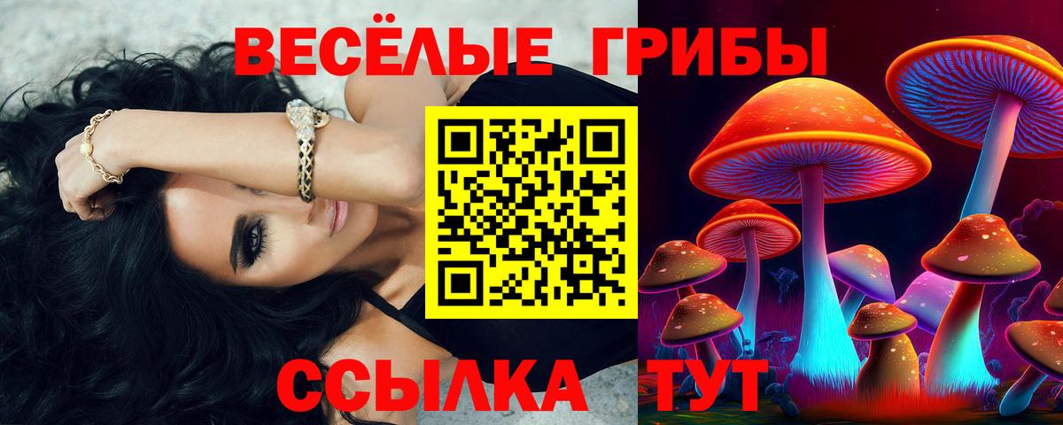 Галлюциногенные грибы прущие грибы Хабаровск